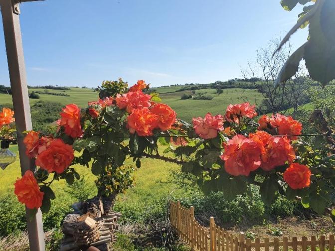 Casale Il Girasole Hotel Barbara Bagian luar foto