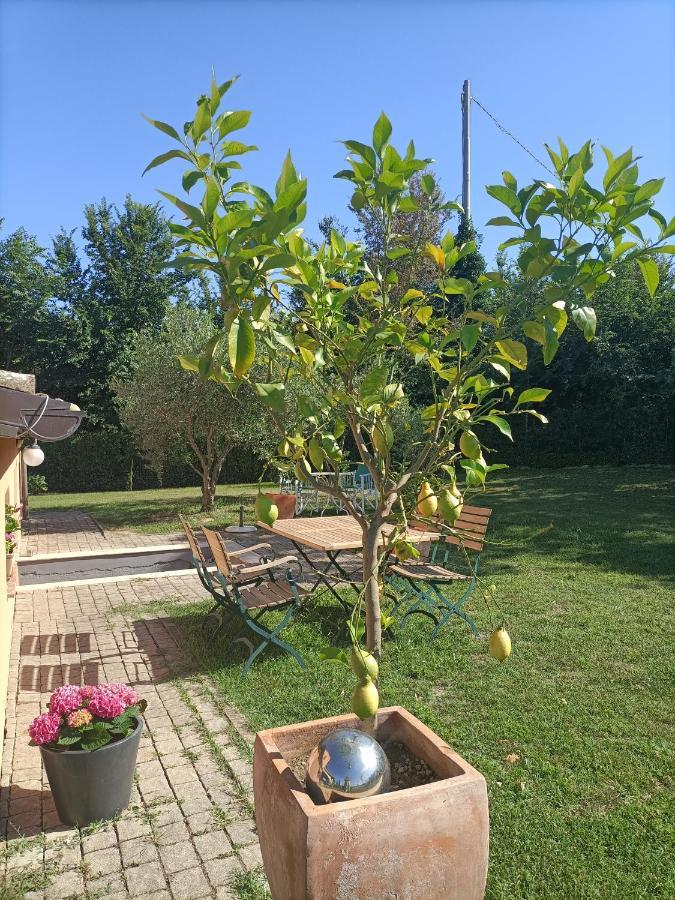 Casale Il Girasole Hotel Barbara Bagian luar foto