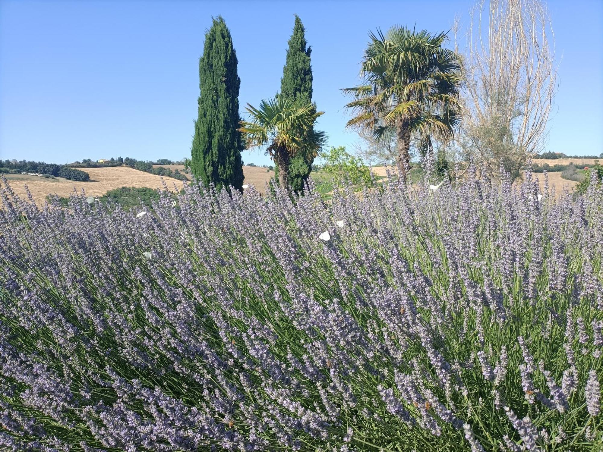 Casale Il Girasole Hotel Barbara Bagian luar foto